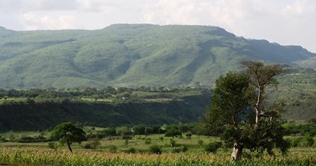 A green, rehabilitated landscape in Humbo, Ethiopia. 