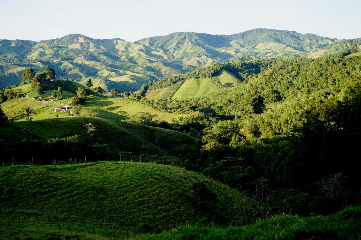 Colombia San Nicolas (Credit: Franka Braun)